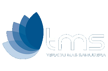 TMS Logo
